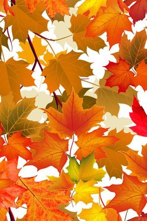 潮流印花华亿平台图片