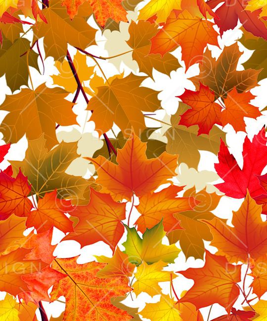 潮流印花华亿平台图片