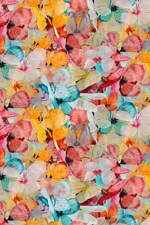 动物纹印花华亿平台图片