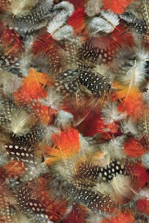 动物纹印花华亿平台图片