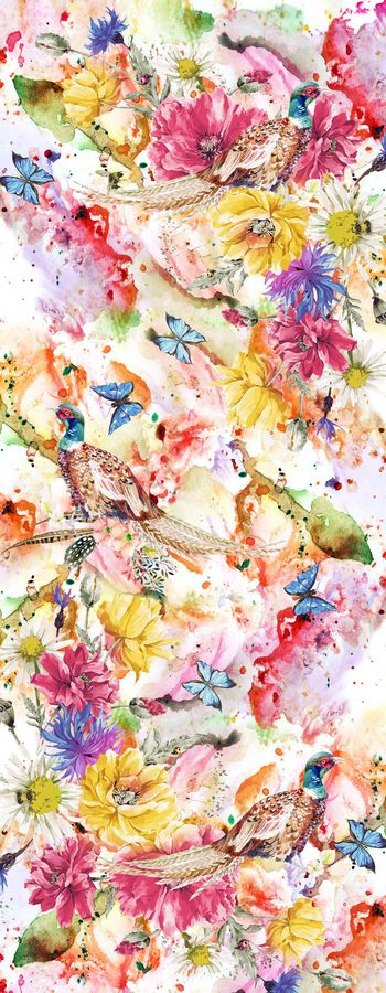 513023-鸟    花  蝴蝶