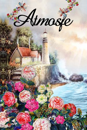 D&G印花华亿平台图片