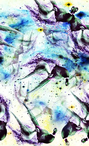 513031-时尚 抽象 水彩 手绘 花鸟 数码