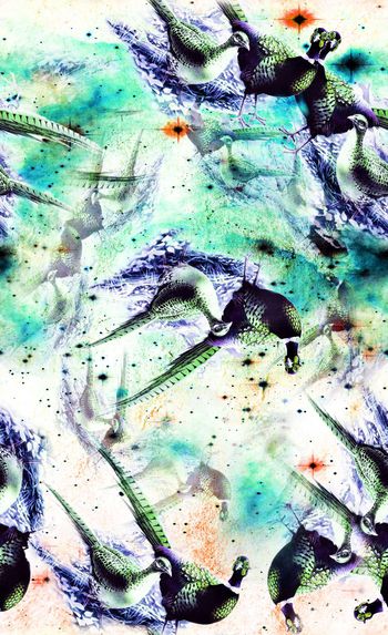 513034-时尚 抽象 水彩 手绘 花鸟 数码