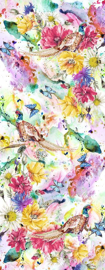 513087-鸟    花  蝴蝶