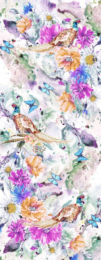 513088-鸟    花  蝴蝶