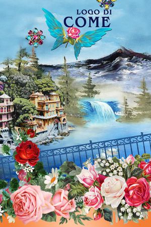 D&G印花华亿平台图片