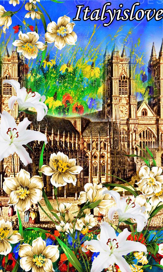 杜嘉班纳Dolce印花华亿平台图片