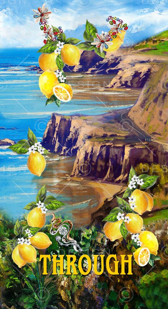 D&G印花华亿平台图片