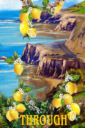 D&G印花华亿平台图片