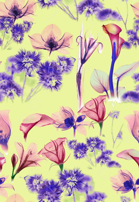 现代印花华亿平台图片