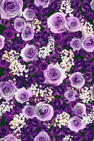 时尚印花华亿平台图片