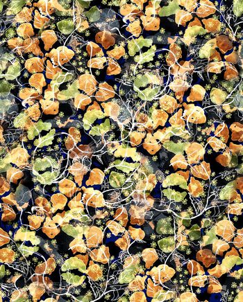 513613-中国风手绘水彩花卉