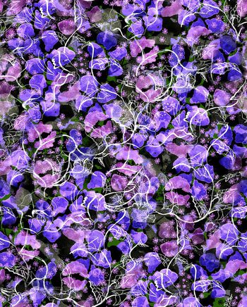 513614-中国风手绘水彩花卉