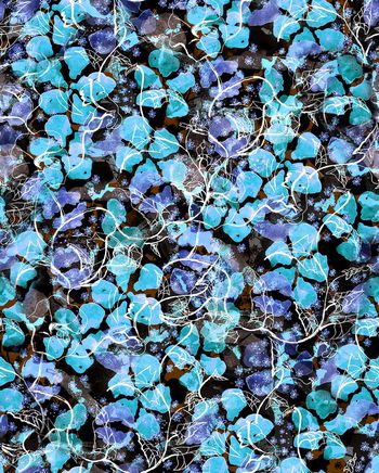 513615-中国风手绘水彩花卉