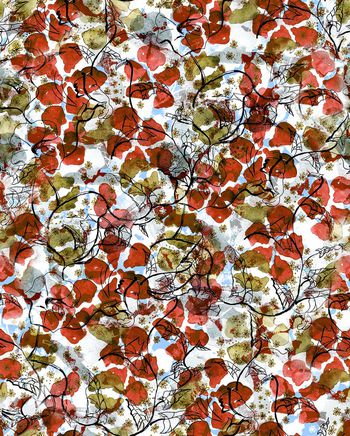 513616-中国风手绘水彩花卉