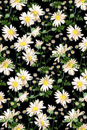 D$G风格印花华亿平台图片