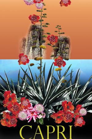 杜嘉班纳Dolce印花华亿平台图片