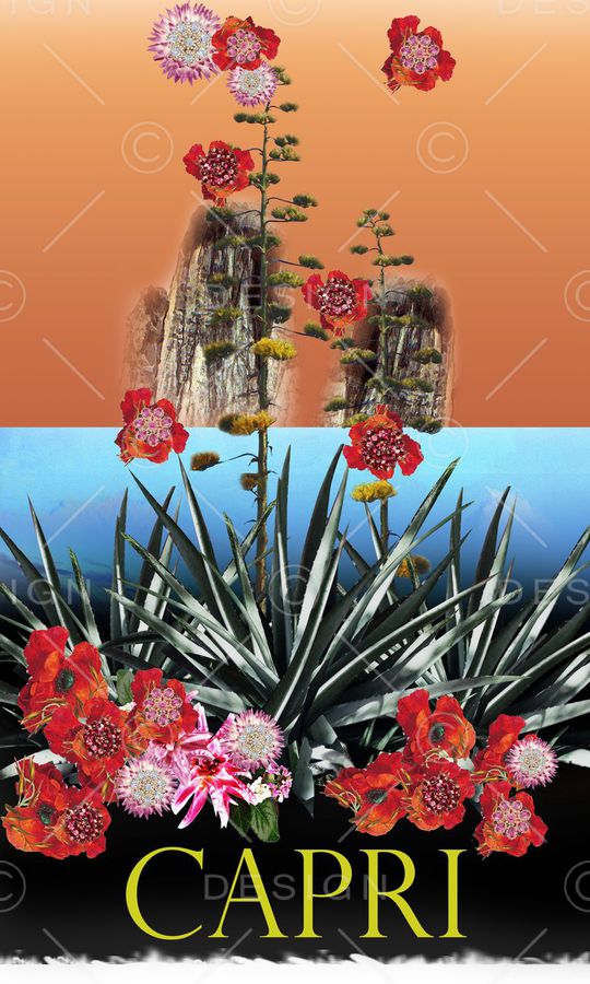 杜嘉班纳Dolce印花华亿平台图片