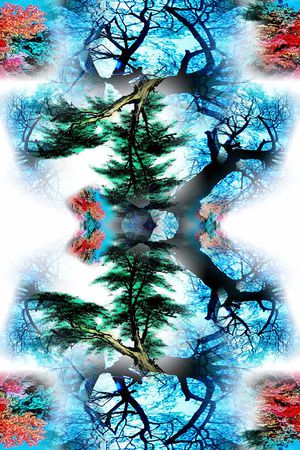 长巾印花华亿平台图片