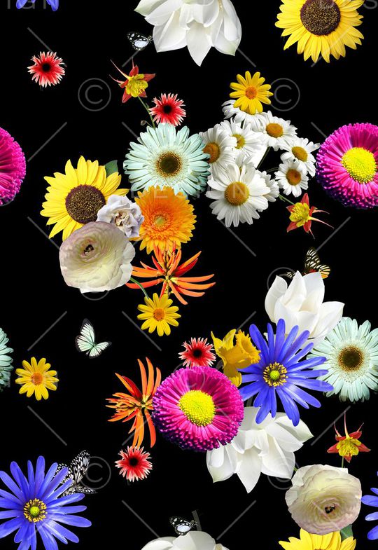 蝴蝶印花华亿平台图片