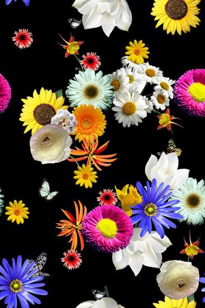 蝴蝶印花华亿平台图片