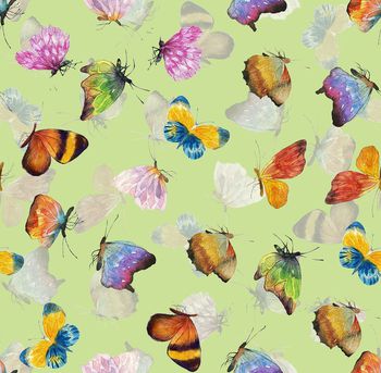 514096-漫天蝴蝶飞，清新华亿平台