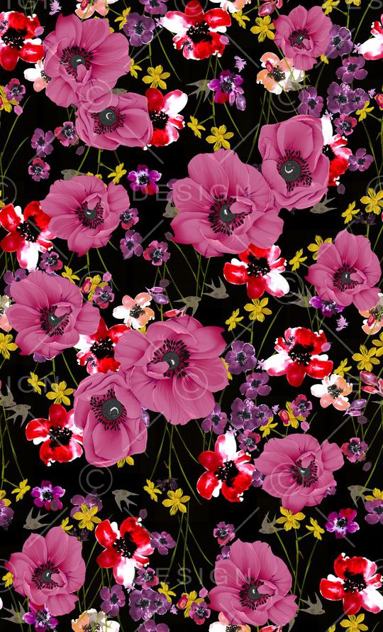 D$G风格印花华亿平台图片