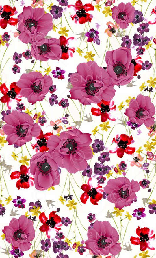 D$G风格印花华亿平台图片