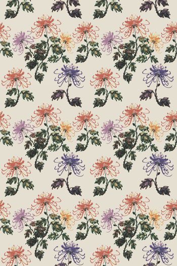 514165-原创手绘菊花