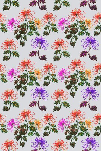 514166-原创手绘菊花