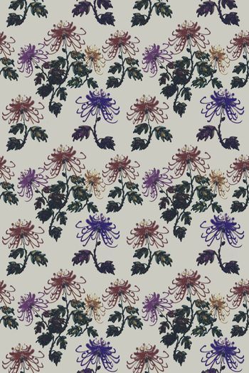 514168-原创手绘菊花