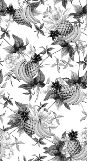 514239-香蕉 菠萝  花卉