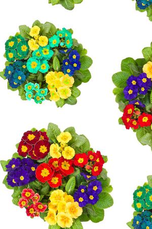 数码花卉印花华亿平台图片