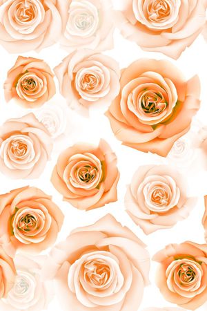 背景印花华亿平台图片