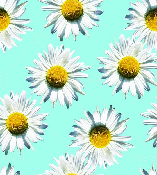 时尚菊花印花华亿平台图片