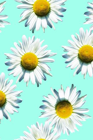 时尚菊花印花华亿平台图片