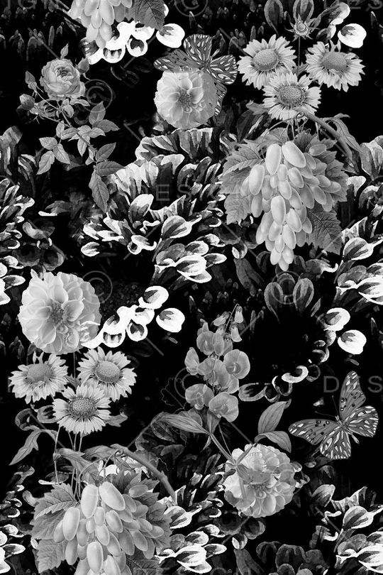 黑白风印花华亿平台图片