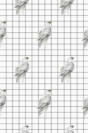 极简风印花华亿平台图片