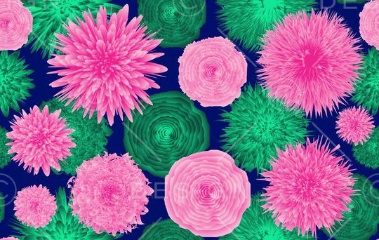 2016年春夏印花华亿平台图片