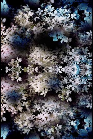 花印花华亿平台图片