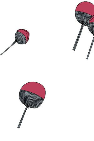 男装华亿平台印花华亿平台图片