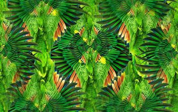 时尚印花华亿平台图片