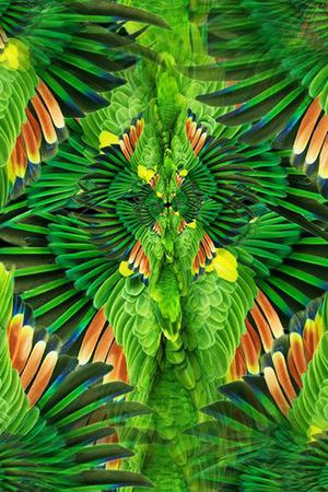 时尚印花华亿平台图片