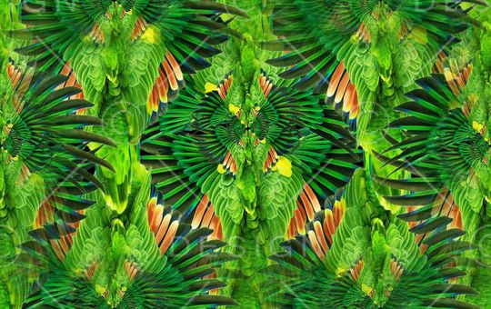 时尚印花华亿平台图片