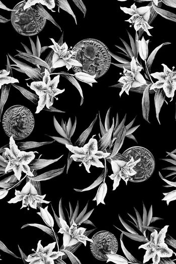 514795-花卉  古钱币   