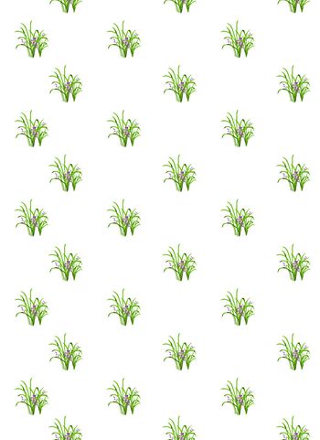 514939-手绘 兰花 花卉 清新 女装 家纺