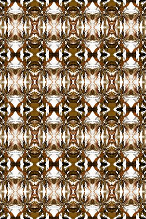 复古印花华亿平台图片