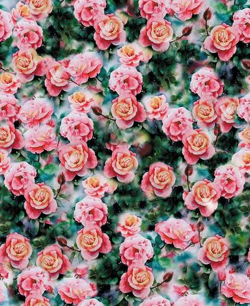 514994-手绘 玫瑰 花卉 女装 夹克 沙发