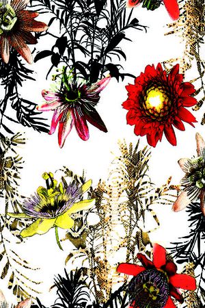 热带雨林印花华亿平台图片